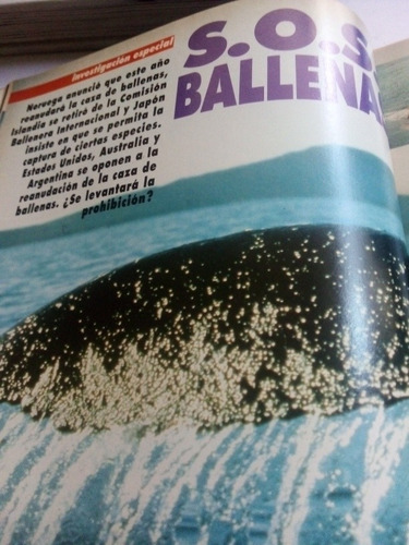 Imagen 4 de 4 de Revista Conozca Más Julio 1993 Ballenas En Peligro