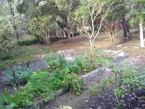Belíssima Chácara De 5000m²