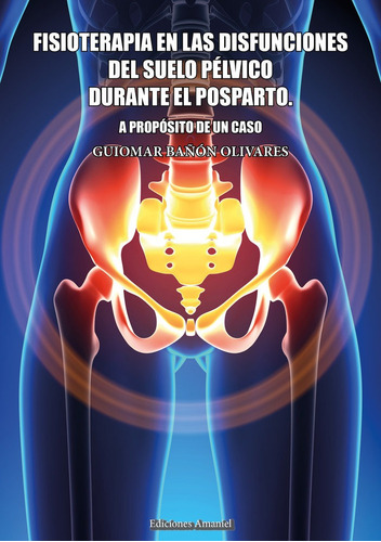 Fisioterapia En Las Disfunciones Del Suelo Pãâlvico Durante E, De Bañón Olivares, Guiomar. Editorial Amaniel, Tapa Blanda En Español