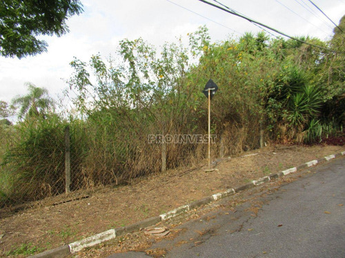 Imagem 9 de 12 de Granja Viana - Fazendinha - Te9442
