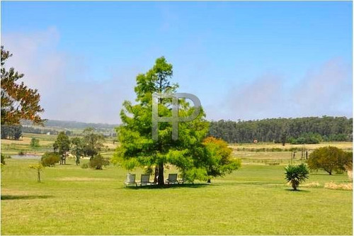Imagen 6 de 13 de Chacra En Venta Punta Piedras 4 Dorm, 9928 Has #1820
