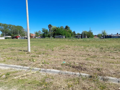 Imagen 4 de 8 de Terreno - Villa Parque Sicardi