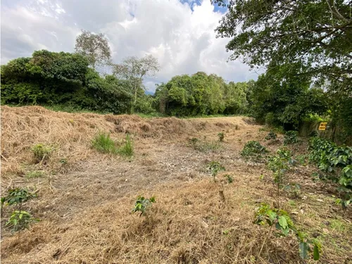 Lote En Venta Calarca- Vereda La Bella