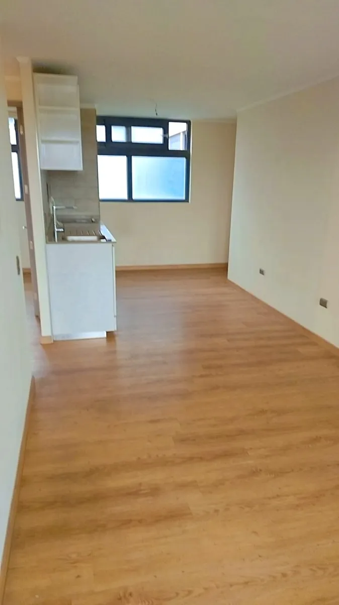 Imagen 3 de 16 de Arriendo Dpto.46,5 Mt2, 2 D, 1b ,1e ,1b Metro Pza. Egaña