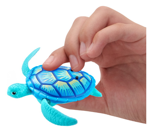 Tortuga Robotica Con Movimiento Robo Turtle Robo Alive
