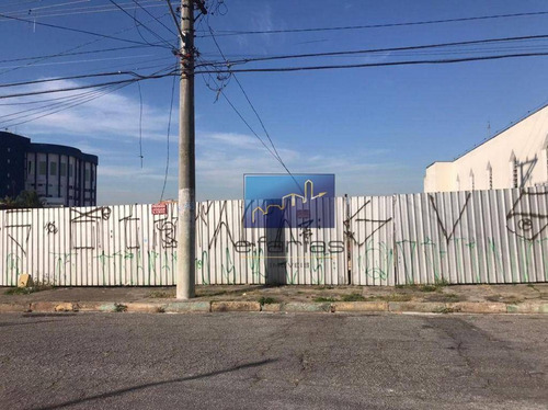 Imagem 3 de 5 de Terreno À Venda, 1600 M² Por R$ 7.500.000,00 - Vila Matilde - São Paulo/sp - Te0172