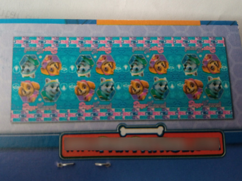 Mantel Paw Patrol Skye Everest Fiesta Decoración Reciclable