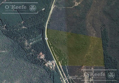 Imagen 7 de 10 de Chacra En Venta En Rio Negro, Localidad De El Foyel - 20 Has Turismo