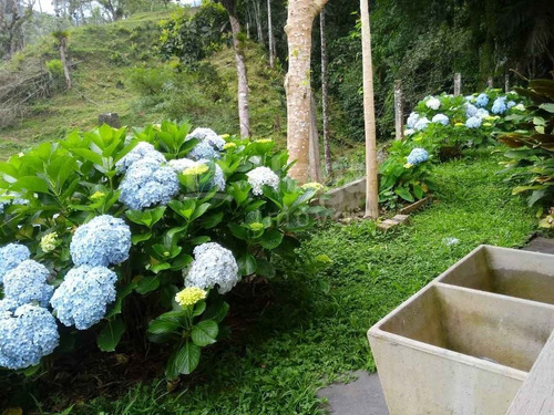 Sítio A Venda Em Massaranduba/sc - 1764c