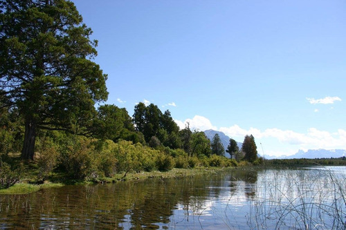 49 Hectáreas Con Costa De Lago Lezama En Cholila