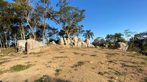 Área Para Venda Em Garopaba, Ressacada - 898_2-1150541