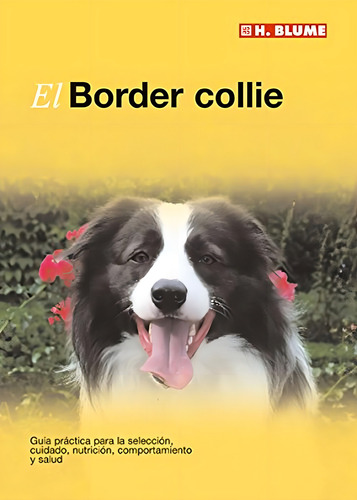 El Border collie: 16 (Mascotas), de George, David. Editorial Tursen, tapa pasta blanda, edición 1 en español, 2008
