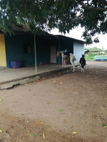 Imagen 10 de 10 de Se Vende Finca En Caicarita Ve02-005cdm-ml