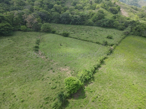 Imagen 12 de 30 de Finca En Venta San Felipe 1500 Ha, #23-14481