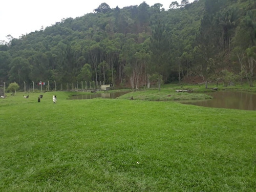 Imagem 16 de 30 de Chacara - 404 - 69427680