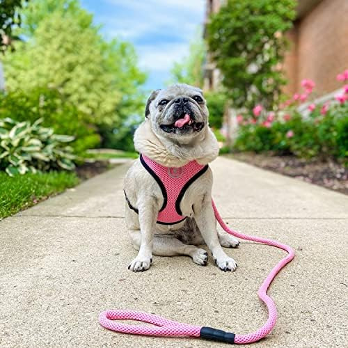 Gooby Mesh Leash - Red, 4 Ft - Correa De Malla Transpirable
