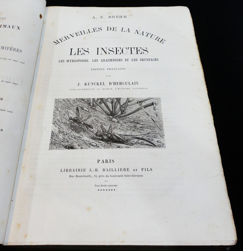 Les Merveilles De La Nature. A. E. Brehm Circa 1900 7pl 0950