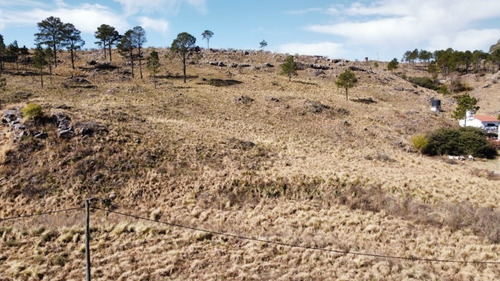 Imagen 3 de 12 de 4 Lotes De 2500m2 C/u, En Villa Ciudad De America