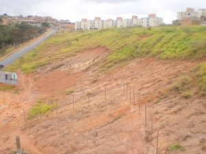 Oportunidade Excelente Lotes No Arvoredo 382m² - 937