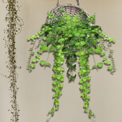 De Cesta Colgante Tejida Hecha A Mano, Soporte De Flores, S