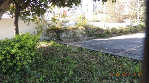 Terreno Comercial Zcor Fantástica Localização E Grande Apelo Comercial - 375-im250480