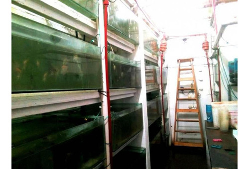 Excelente Oportunidad Comercial Fabrica O Deposito