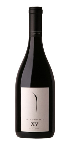 Pulenta Gran Pinot Noir Xv - Vino Tinto Valle De Uco Mendoza