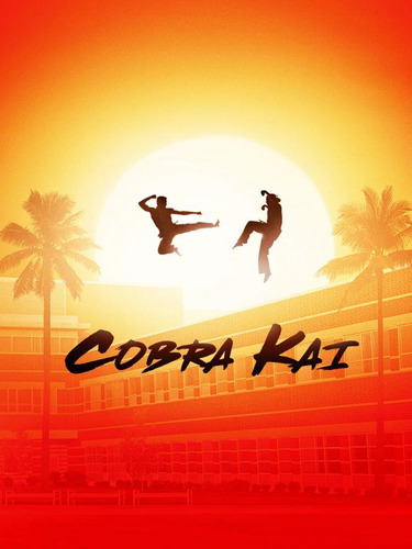 Cobra Kai | Serie Completa En Pendrive Nuevo