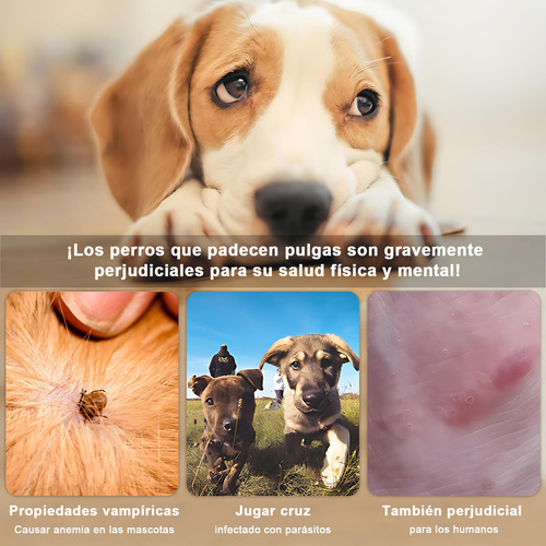 2pcs Collar Para Perro, Collar Impermeable,collar Para