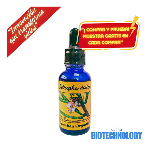 Drago Jatropha Dioica, Triple Extracto Orgánico Concentrado Natural