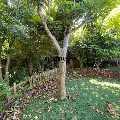 Casa En Los Lirios Concepción.