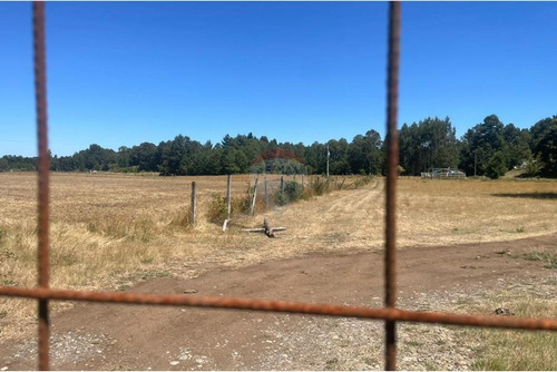 Venta De Parcela En Comuna De Cunco, Ruta S-61