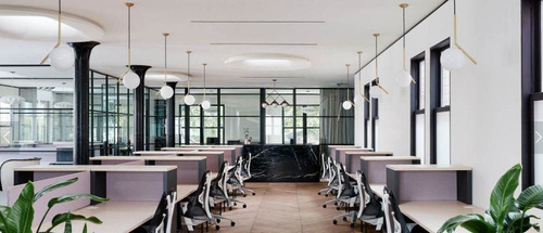 Imagen 3 de 17 de Oficinas Exclusivas Polanco ¡de Lujo!