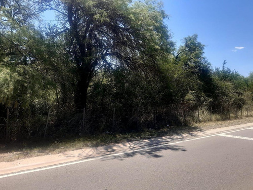 Imagen 9 de 23 de 76 Hectareas En Venta En El Corazon De Conlara, Traslasierras!!