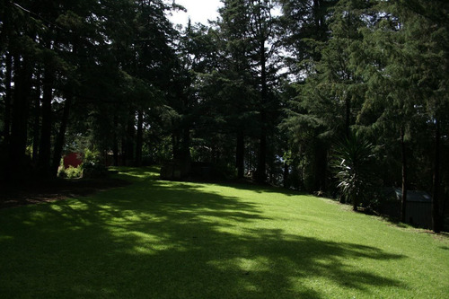 Imagen 7 de 30 de Espectacular Colina En Terreno En Venta