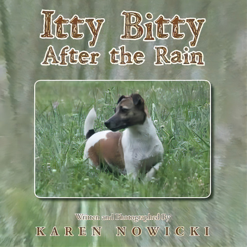 Itty Bitty After The Rain, De Karen Nowicki. Editorial Xlibris, Tapa Blanda En Inglés