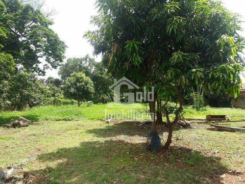 Imagem 4 de 5 de Chácara À Venda Por R$ 425.000 - Distrito Industrial - Sertãozinho/sp - Ch0086