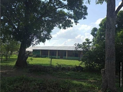 Imagen 12 de 14 de Productiva Finca En Elorza Apure, Acepta Criptomoneda