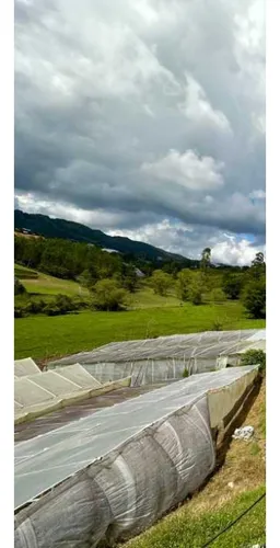 Finca De Producción En Venta En San Vicente, Antioquia