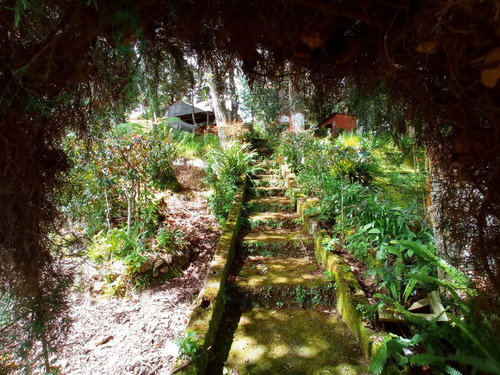 Imagen 4 de 30 de Vendo Bonita Granja, Media Manzana De Terreno, Ubicada A Orilla De Carretera Pavimentada, Muy Cerca De San Lucas Sacatepequez