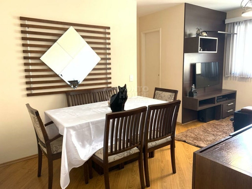Imagem 3 de 15 de Apartamento 02 Dormitórios À Venda No Bairro Saúde - Ph40177