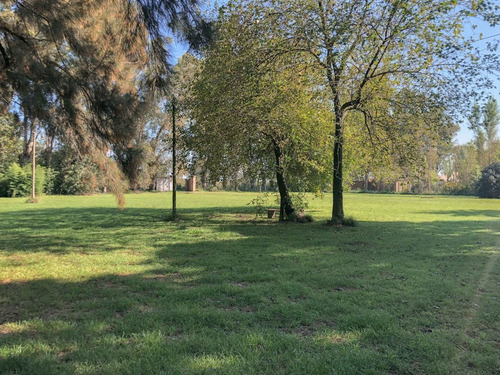 Imagen 11 de 15 de Venta Hermosa Quinta Sobre Amplio Lote En Chacras De Canning