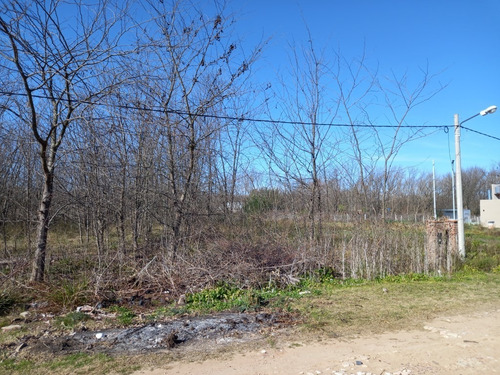 Imagen 3 de 7 de Hermoso Lote En Los Pinos