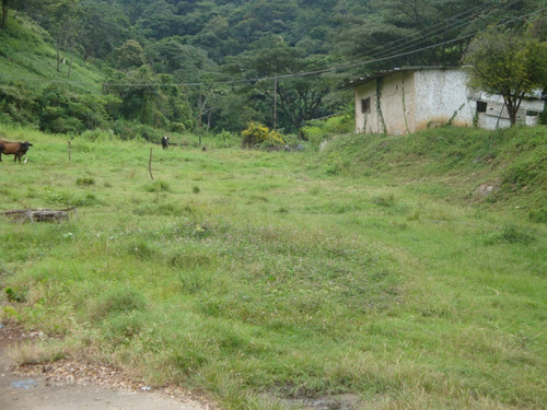 Imagen 10 de 14 de En Venta Terreno En Colinas De Guataparo, Valencia