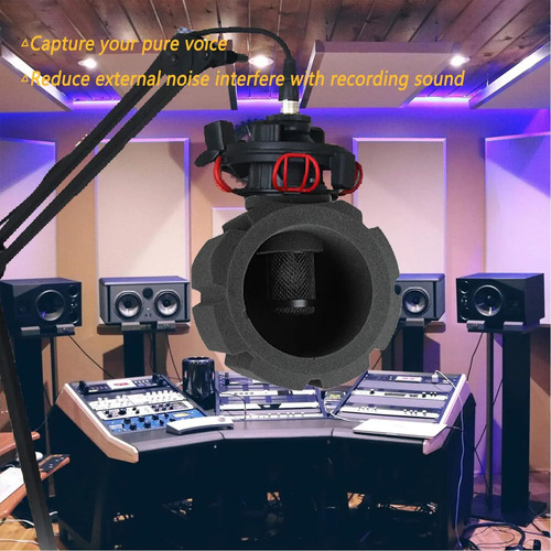 Filtro Anti Pop Micrófono Profesional Pantalla Acústica