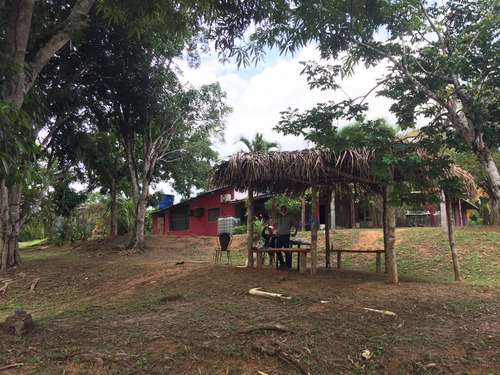 Imagen 16 de 19 de Finca De Limon Caucagua Miranda Sector Rio Negro Municipio Acevedo