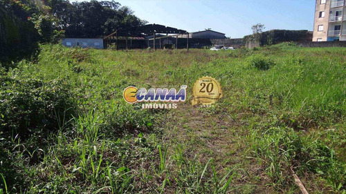 Imagem 6 de 7 de Chácara, Agenor De Campos, Mongaguá - R$ 1.5 Mi, Cod: 5505 - V5505
