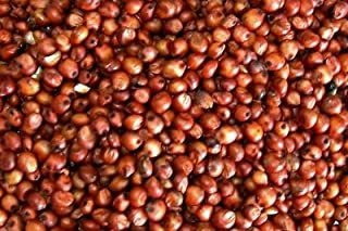 5 Libras De Milo Orgánico   Sorgo Rojo Certificado Por Usda 