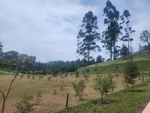 Lote En Venta En Don Diego. Cod V11581