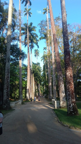 Jardim Botânico Do Rio De Janeiro